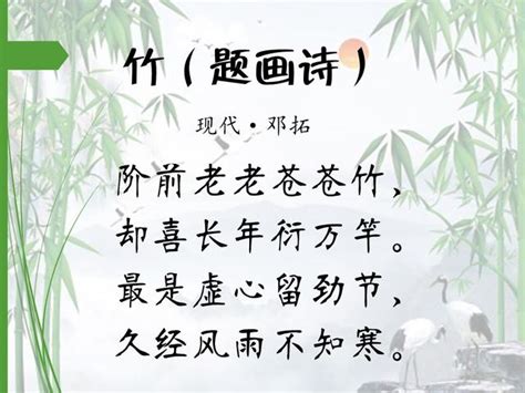 有關竹子的詩詞|16首著名詠竹詩，第一首就很值得背誦